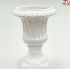 Roman Pot