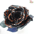 STAR Rose Dyed