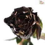 STAR Rose Dyed