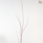 Salix Red