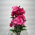 76cm Begonia Spray (Beauty) (24/144)