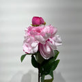 70cm Peony Spray（36/360）