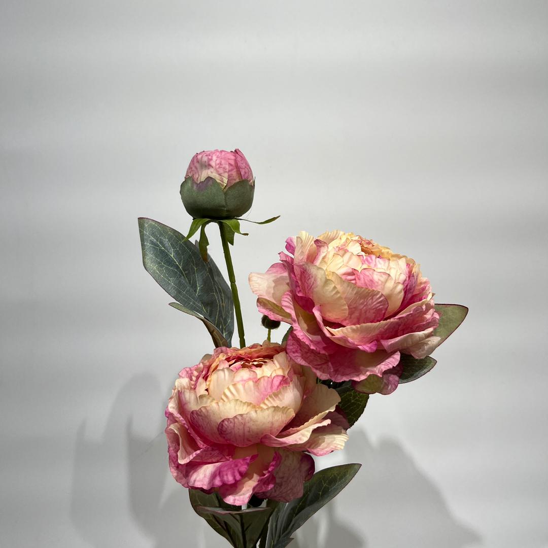 68cm Peony Spray （40/480）