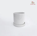 TX01 White Pot