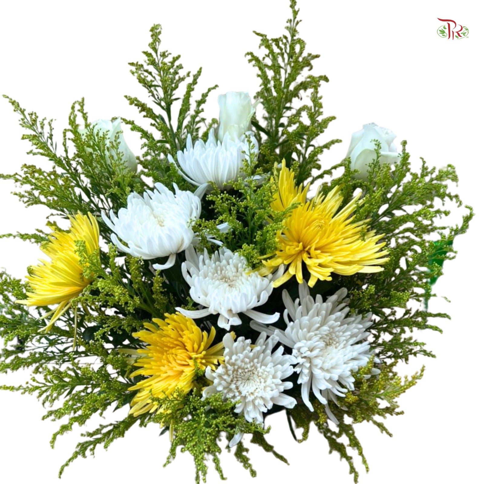 【Qing Ming】Pure Remembrance Tribute