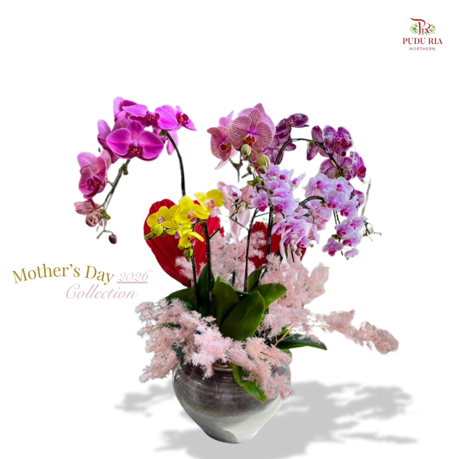 【Mother's day】Forever Grace for Mom