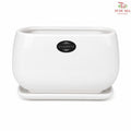 HS-134 White Pot