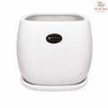 JZ-DW 0229 WHITE POT