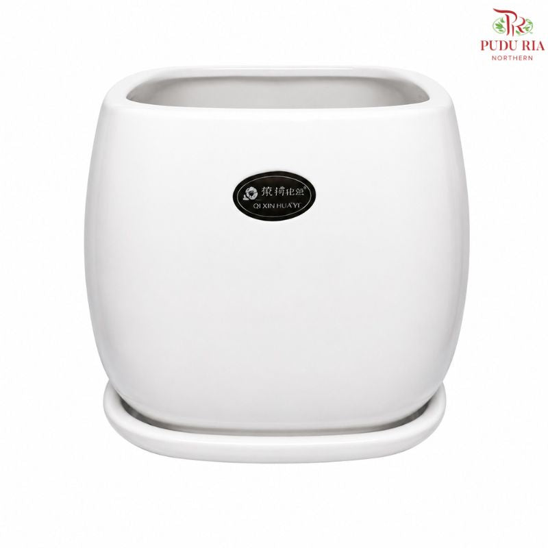 JZ-DW 0229 WHITE POT