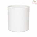 TX02 White Pot