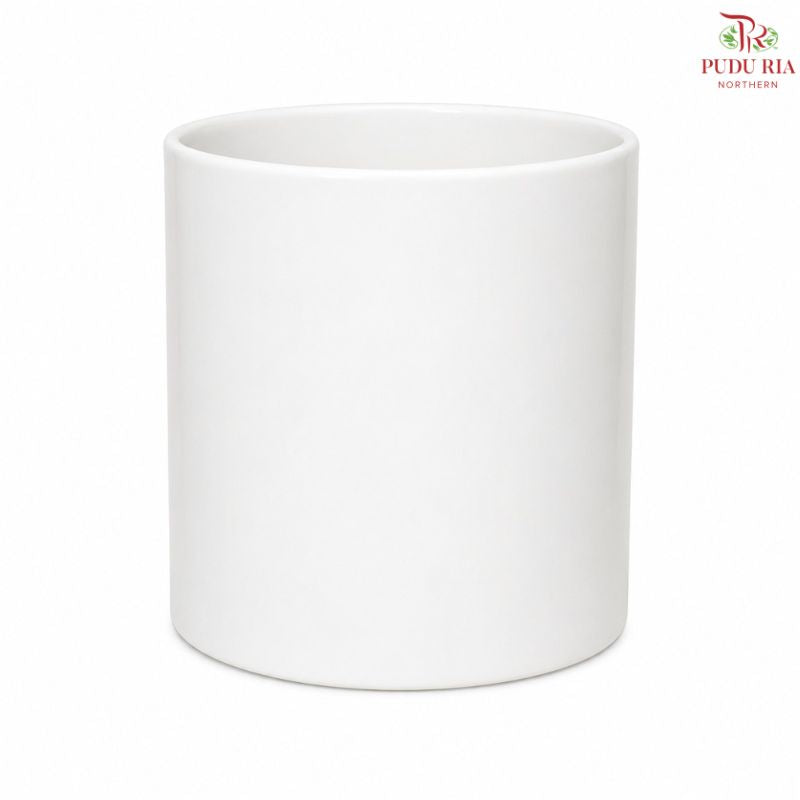 TX02 White Pot