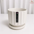 TY-6801 White Pot