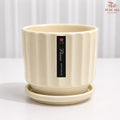 TY-6804 Beige Pot