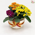 【Deepavali Series 2026】Golden Radiance
