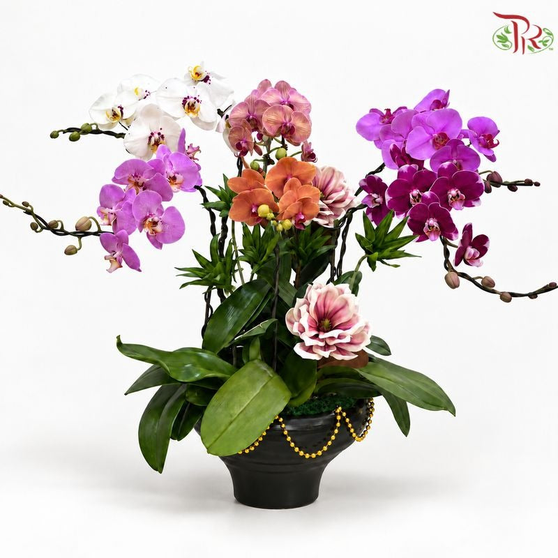 【Deepavali Series 2026】Royal Radiance