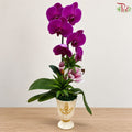 【Deepavali Series 2026】Amethyst Glow
