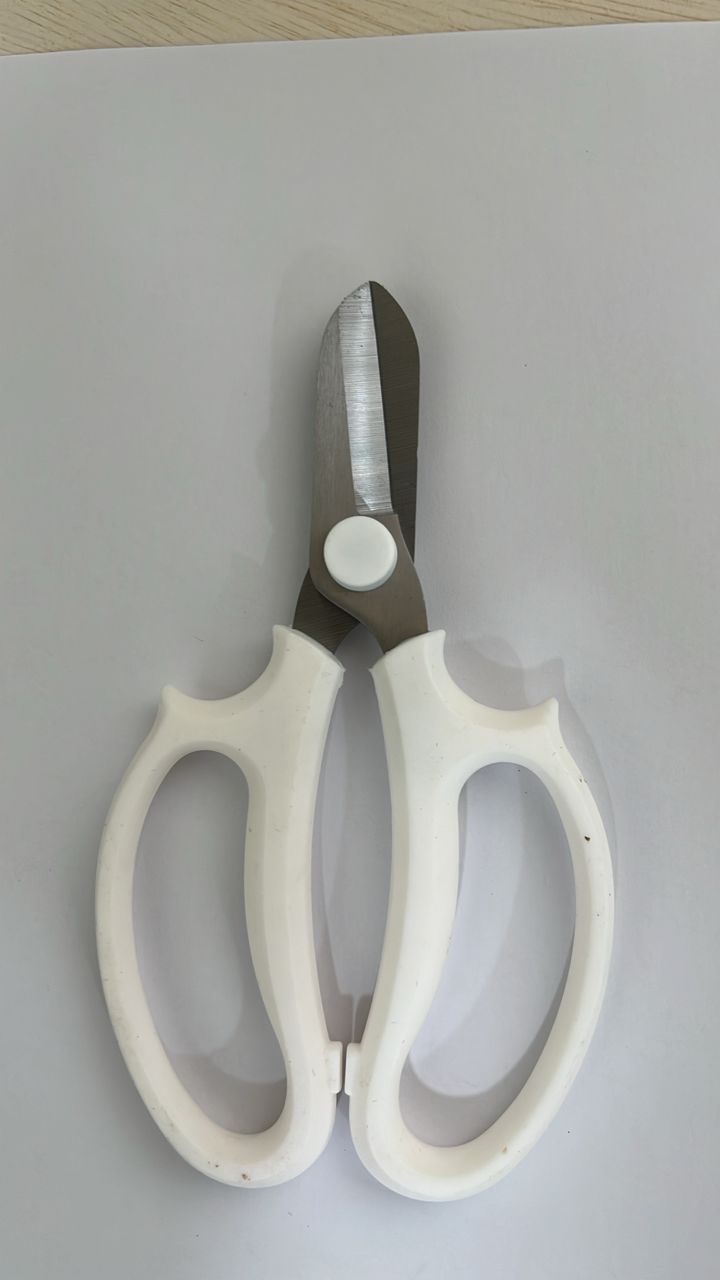 Scissors Stainless Steel (165MM)
