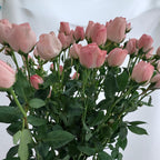 Rose Spray 《多头玫瑰》