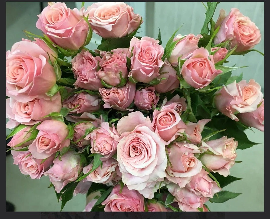 Rose Spray
