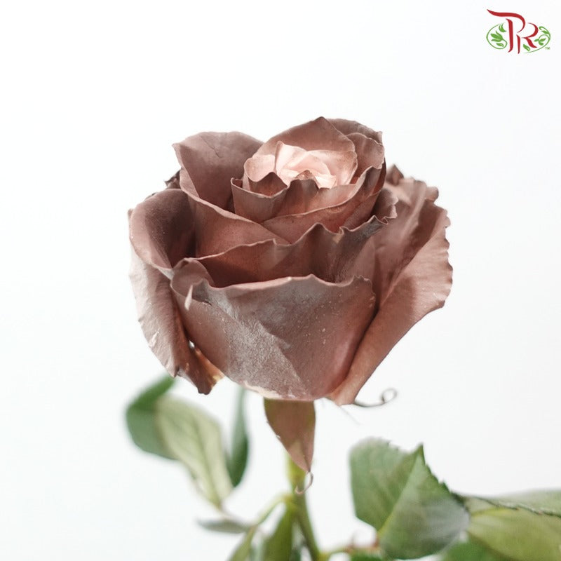 Ceres Rose Dyed Mondial Mix