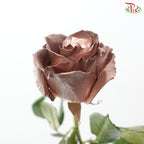 Ceres Rose Dyed Mondial Mix