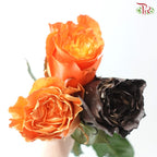 STAR Rose Dyed