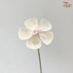 Dry Violet