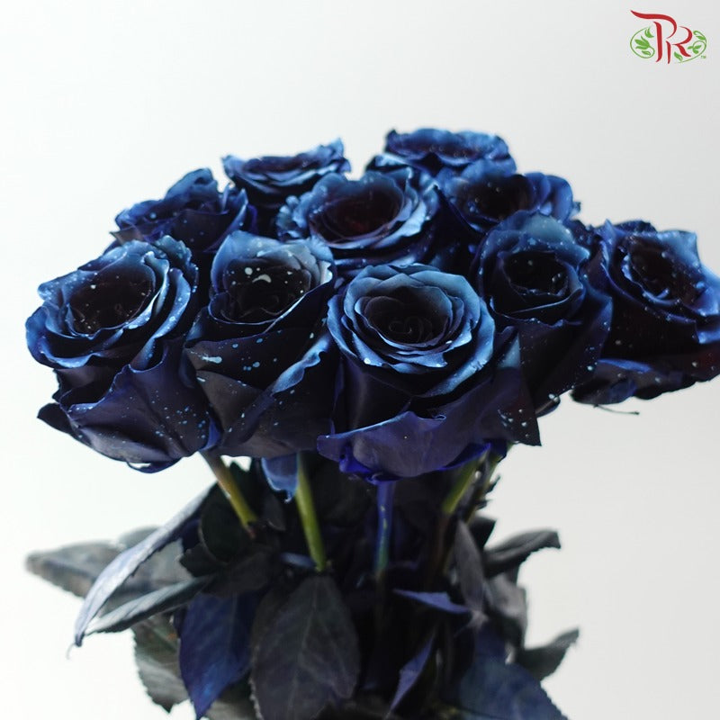 Ceres Rose Dyed Mondial