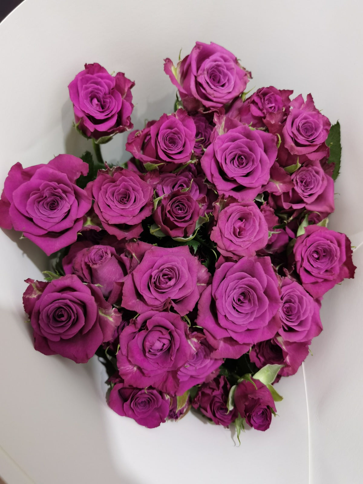 Rose Spray 《多头玫瑰》