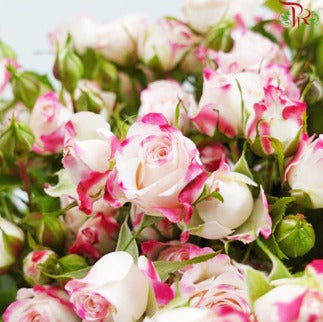 Rose Spray