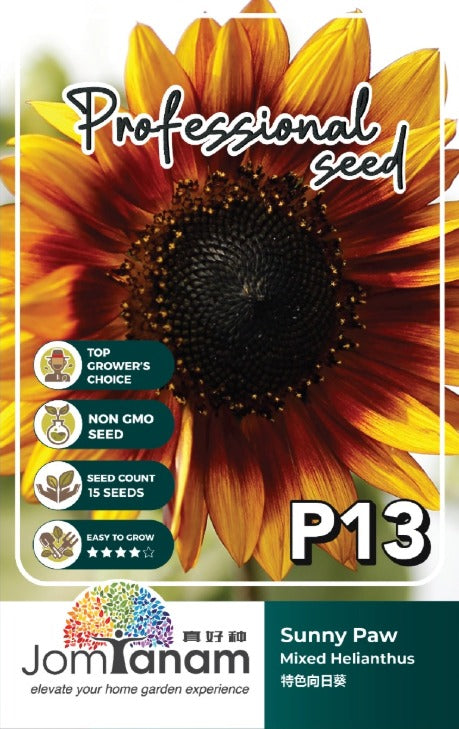 JT Professional Seed