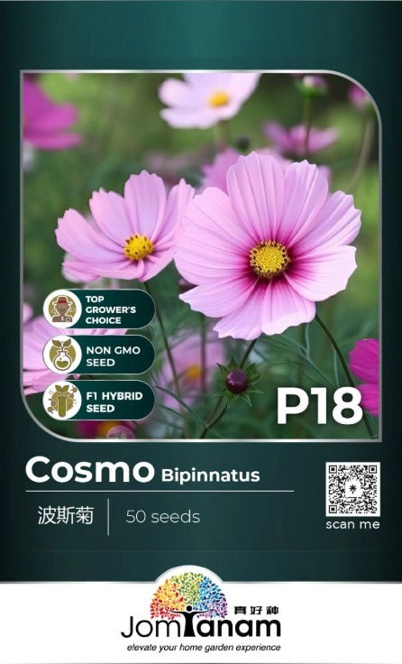 JT Professional Seed