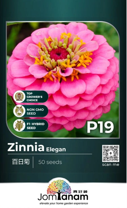 JT Professional Seed