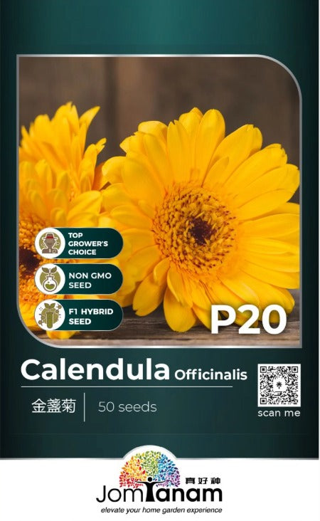 JT Professional Seed