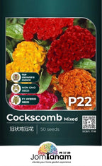 JT Professional Seed