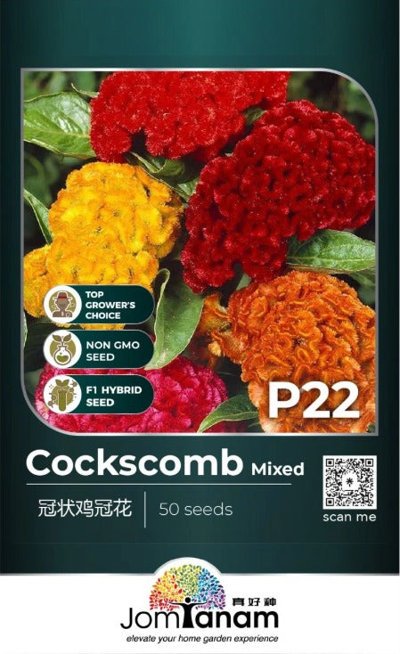 JT Professional Seed