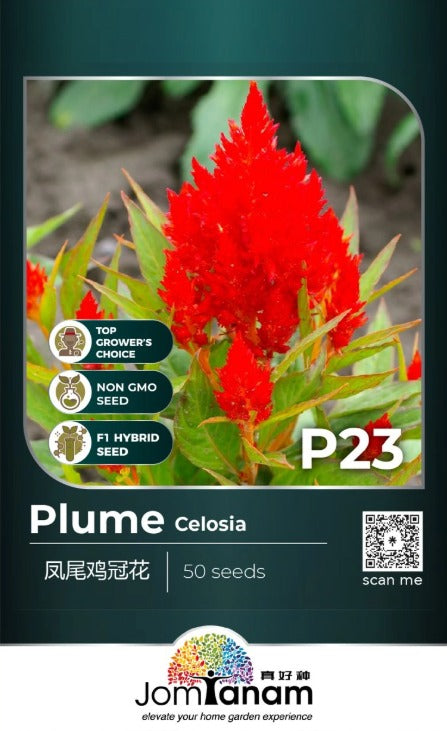 JT Professional Seed
