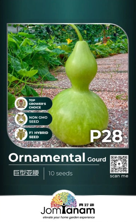 JT Professional Seed