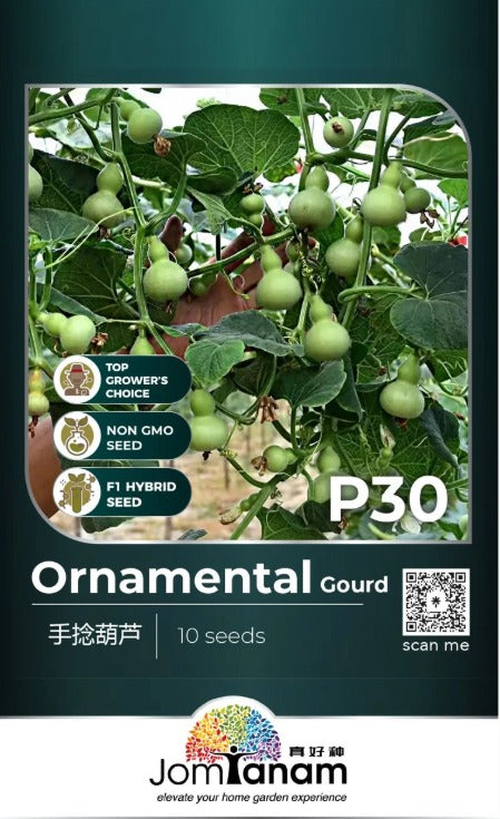 JT Professional Seed
