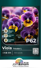 JT Professional Seed