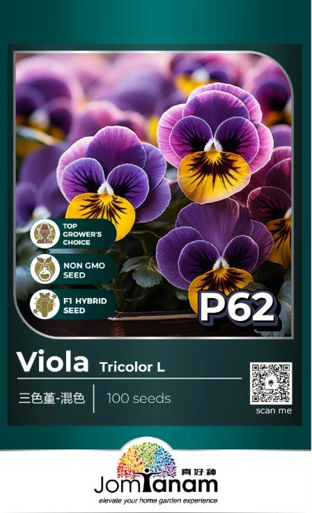 JT Professional Seed