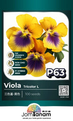 JT Professional Seed