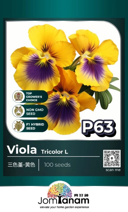 JT Professional Seed