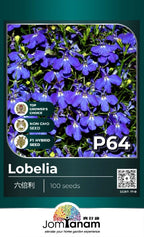JT Professional Seed