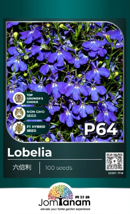 JT Professional Seed