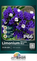 JT Professional Seed
