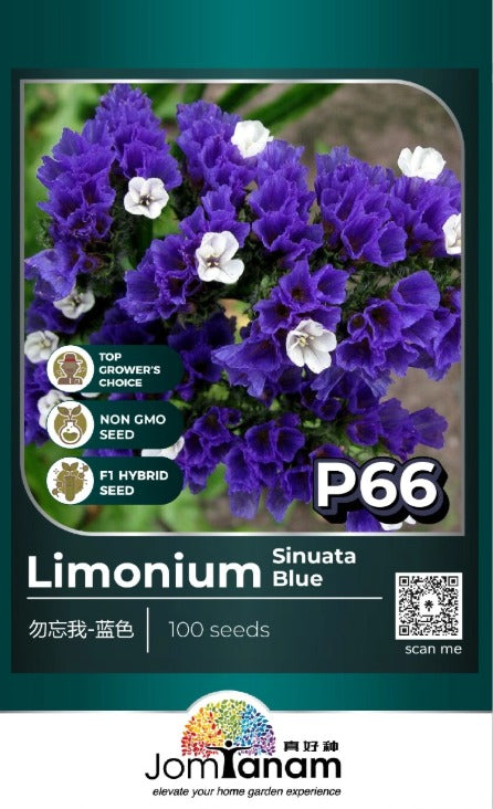 JT Professional Seed