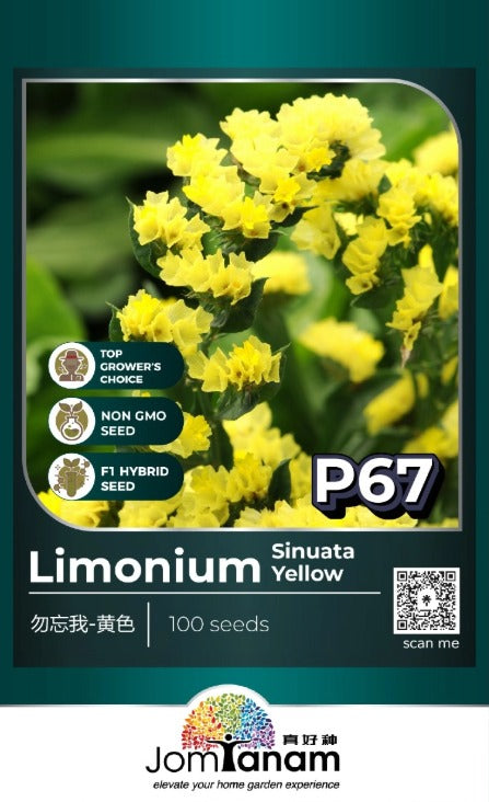 JT Professional Seed