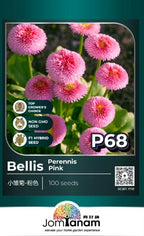 JT Professional Seed