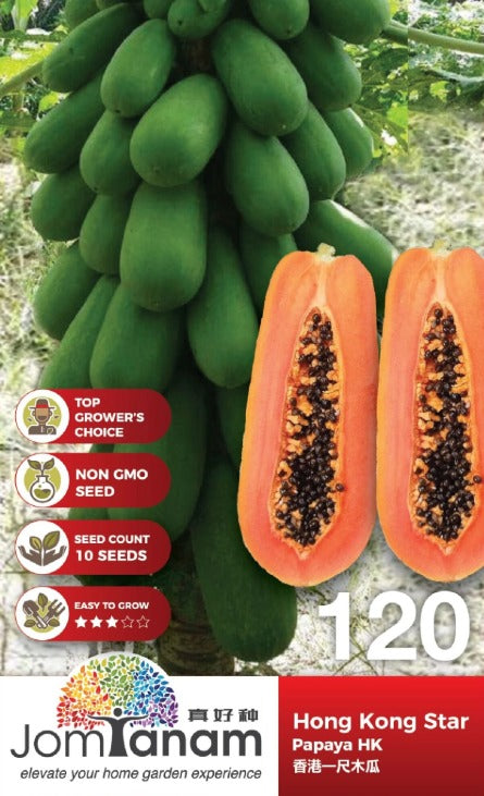 JT Gardening Seed
